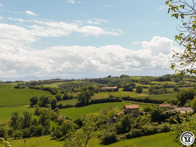 31G101342-2432cbb82d104e52a82a979777b94e37