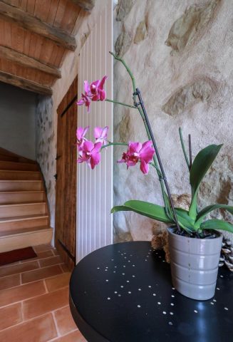 31G101342-247c0db01f914b38b77699979e907736