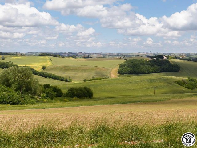 31G101342-5df41008aa774cc7a8294fa1d22eaf19