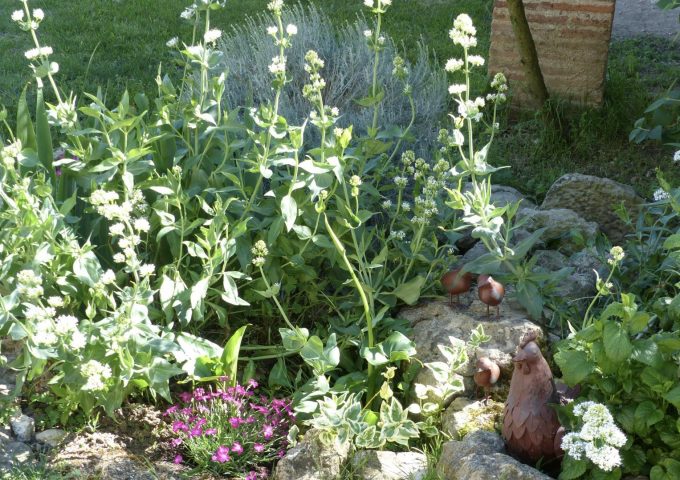 31G101342-6aa64048ac9e4a0b948c7851ca79e98e