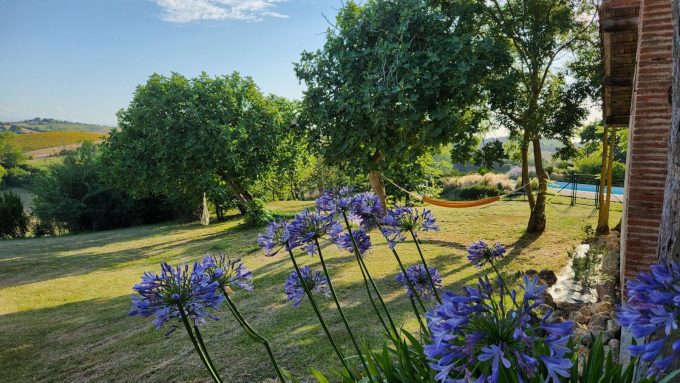 31G101342-867193edb5d74cefaa3cab1894d53ba1