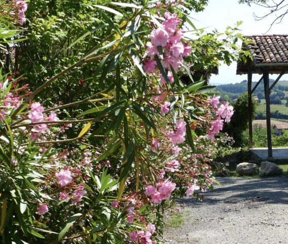 31G101342-8d1dabc721e848929b84cd82ee042e89