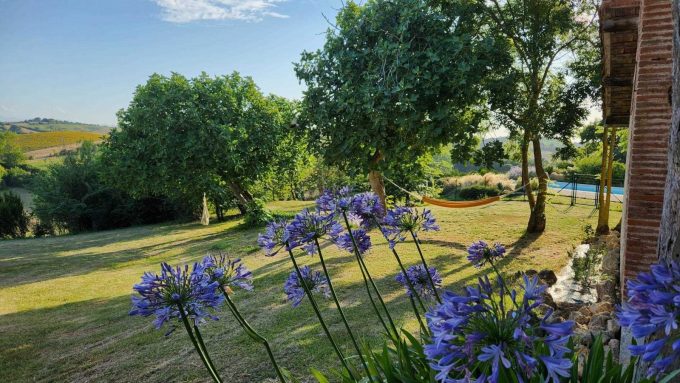 31G101342-9dec8ec1721a424c85d4d9cd0b02a5f8