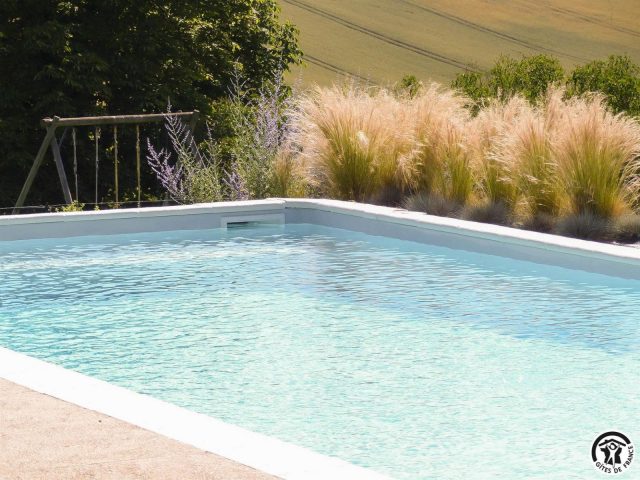 31G101342-c35d9a8cc156449092e57914a07c1f33