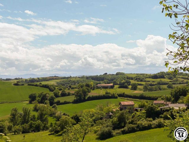 31G101342-cfc72e199cd54c5894afdfbba68b6ba9