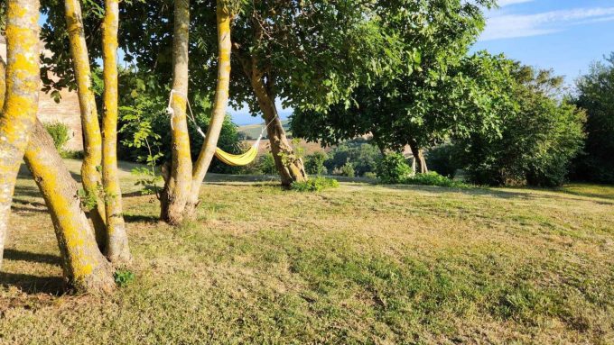 31G101342-e94990ce0d0f463eb78e54c26cdc35e3