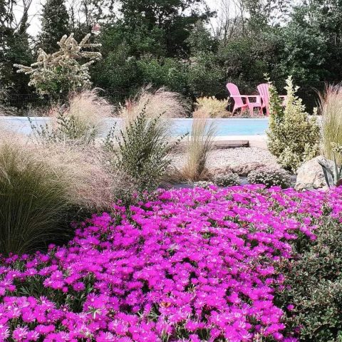 31G101343-b9865f93a6cf4655b5c597ef3b774053