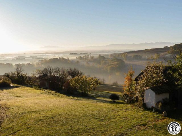 31G101343-f4be867ff97c4202ad41ad56bd8a51df