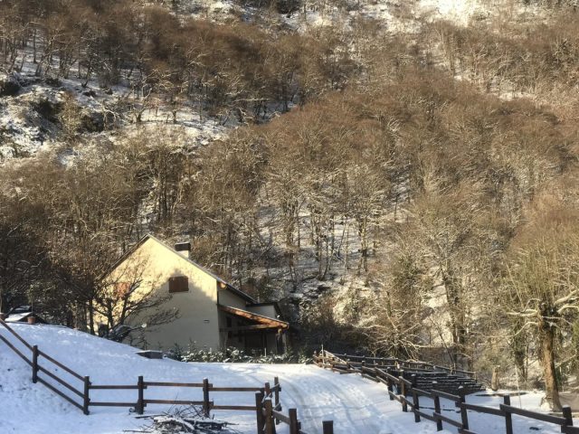 31G101360-69850e6851dc492f82b1b54a9eeaeb96