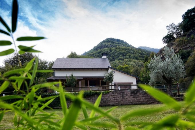 31G101360-cee806f957f447e98f83cc303de46e7d