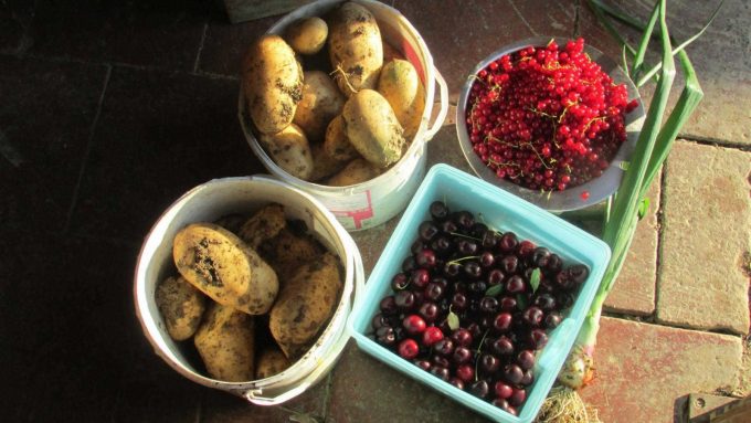 31G101370-03b971efc3e948188a37df8014fcdd90