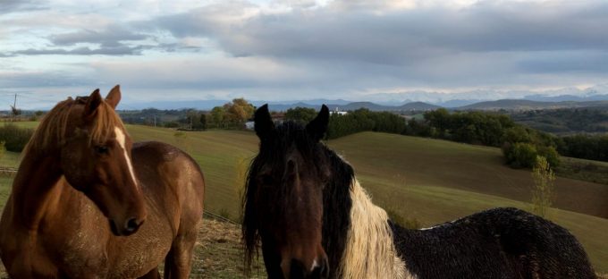 31G101370-123877f2c5da4ba69969e2f83c109975