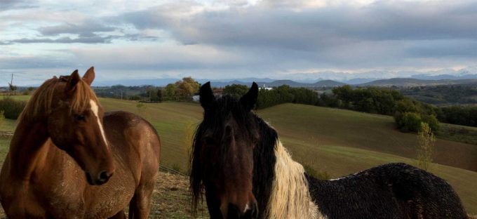 31G101370-1c32d20a4b754360933ba80db7e14b18