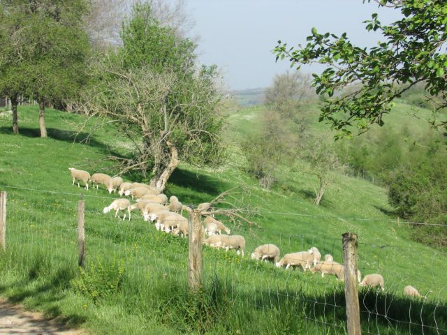 31G101370-251edb0348824e8c80a744bbcfd548bb