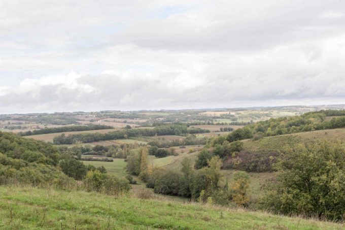 31G101370-2dc08334eb4a49fd836c6e53632991ce