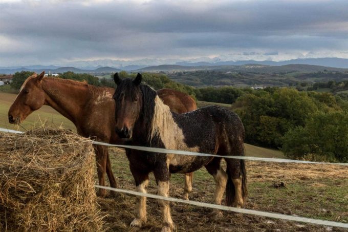 31G101370-3d7c0c105ed847f4b0e151f14eeeaf46