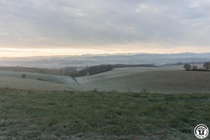 31G101370-54fc7519a0bf4aa1ac22c14fc3c760f2