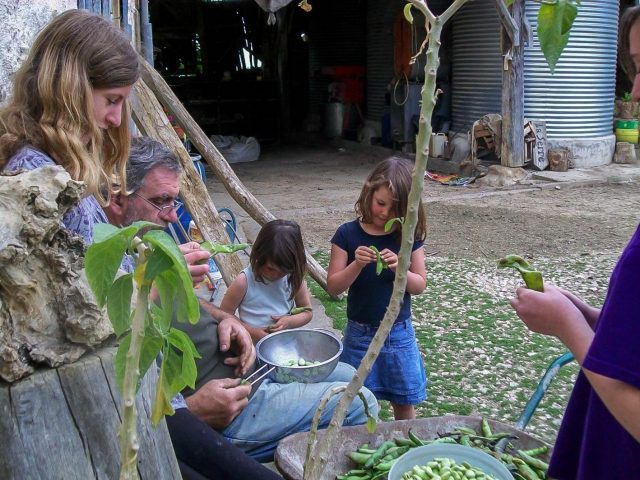 31G101370-57f88ee796364f63881002601e8deca0