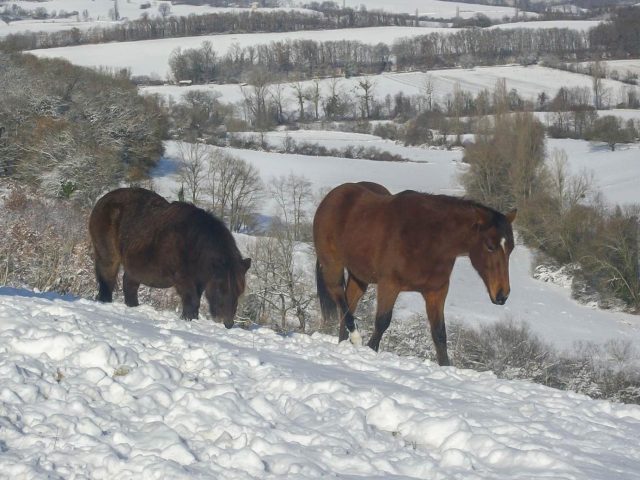 31G101370-6199a97eba7f45f89e029febcdfa6241