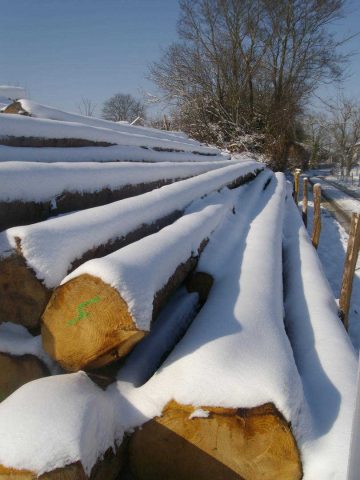 31G101370-7dac687a5fa94de59c52ed16e9575d3a