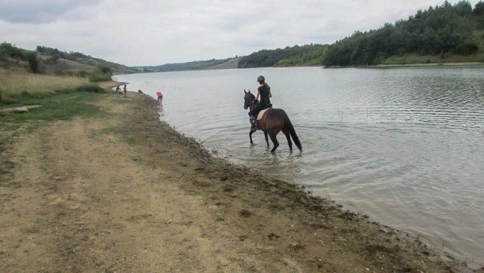 31G101370-959514540c794c4488b057dd51dc3f2f