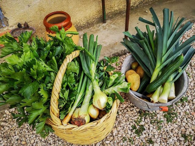 31G101370-9d64d9c286714443946fd4eeccca4c06