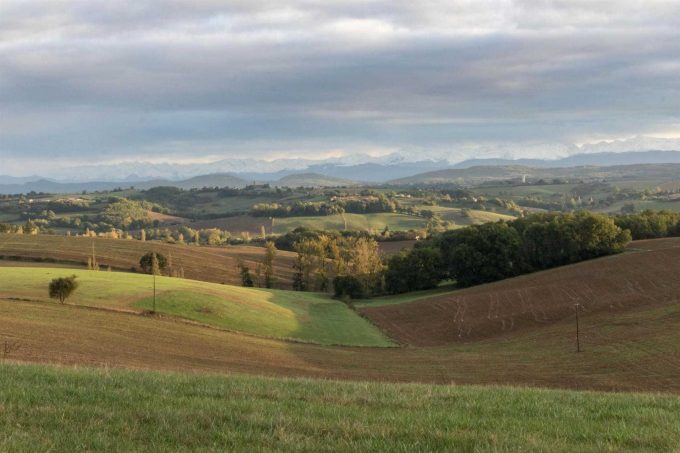 31G101370-a0522b9d1b264654a25c75026eb5526a