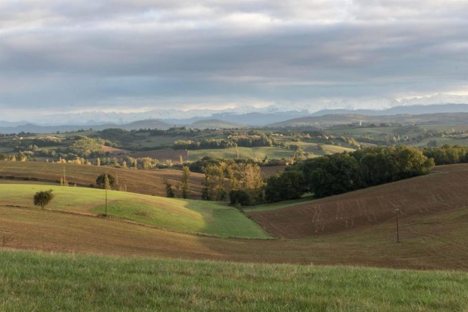 31G101370-b999cf8eb7404610957cadc1123c5fd1