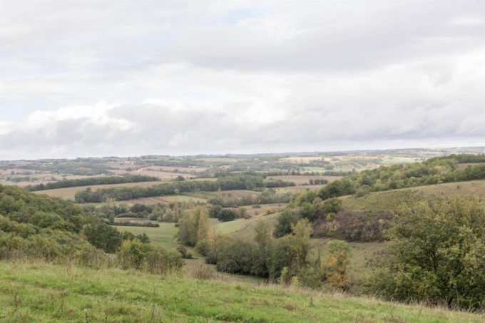 31G101370-dd4da7b5de69457c84aa84d51c07f615