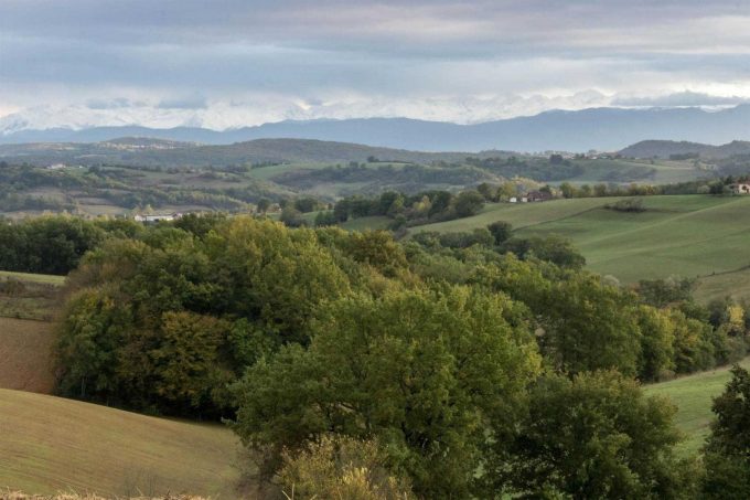 31G101370-ddd28dd8020e427ebf74c4bd8c05e421