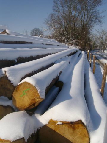 31G101370-e1e02969217b400381835678c6c74f84