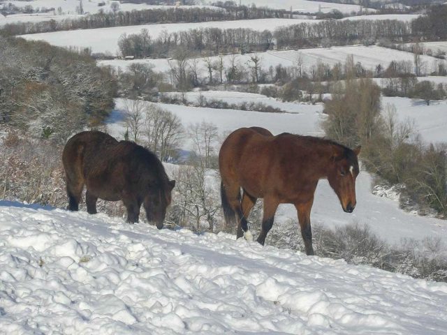 31G101370-ea828205ff544d888f5c3b7b7426834f