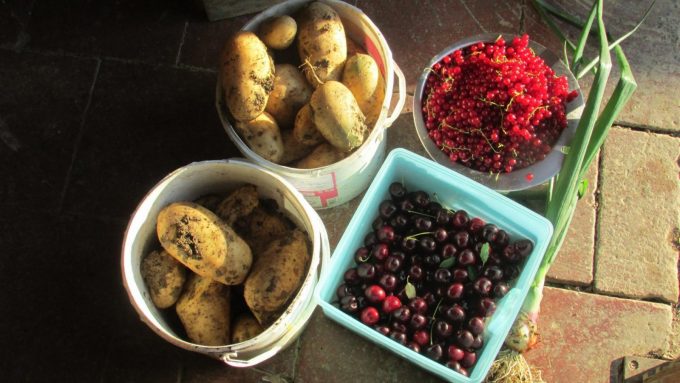 31G101370-fdb7d82697dd4153892d89f48f6a1278