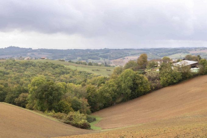 31G101371-5addc025ce644a18ad64404caaa0012b