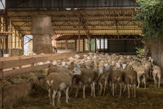 31G101371-98b10675528e4474aaef615768ae33ce