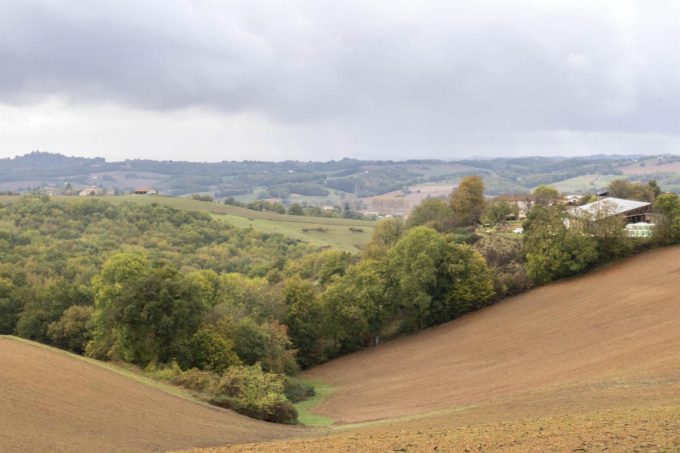 31G101371-f07a8a6961ea4044a1c2734bc044bed7