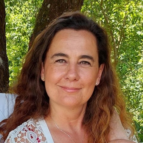 31G101373-0d3a7f7c071d433f9db3efe00ea0729d