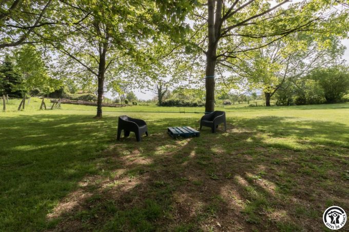 31G101383-32dce54d416f4eea92d7d253b347465d