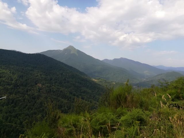 31G101383-842e632e5d2747a58157b793b0b02e5b