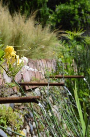 31G101387-43c367b88f8b4ea1977803705337affe