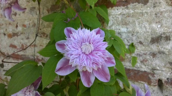 31G101387-6bfcffe399324201934b7c28d12cc153