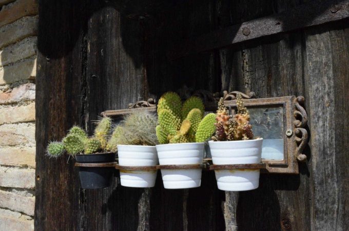 31G101387-6cdce8b8a5ea4baab40ec62f0a7bc4a7