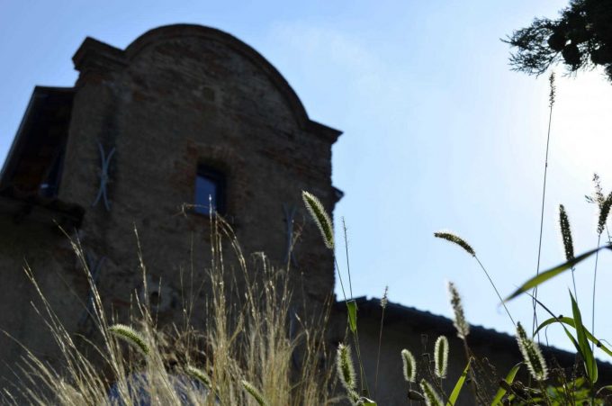 31G101387-c8ba9ae29a08448da9edc873397dee6a