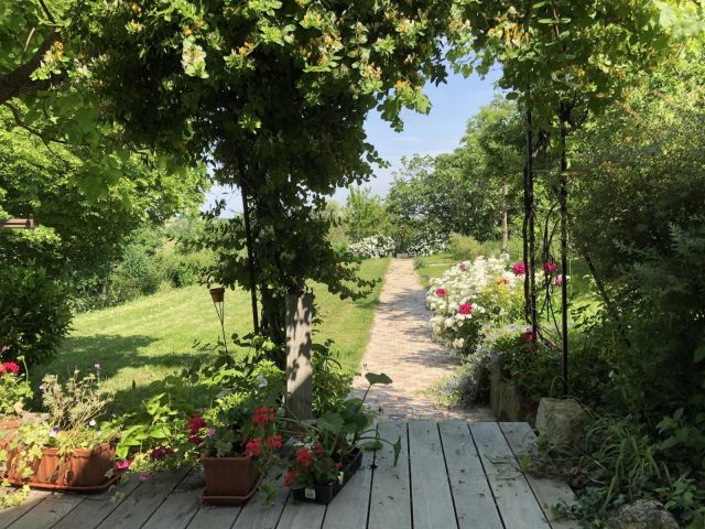 31G101393-460278d9a54a411db9c37cf0ab3fbe59