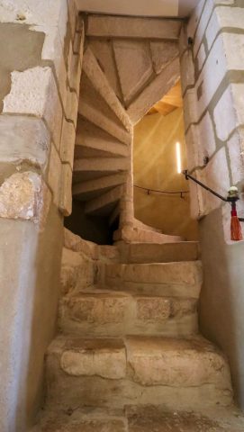 31G101393-911d31ae5fe14468a238640c399795d3