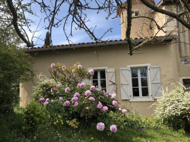 31G101393-a9bc22ab3273445384bce905d729a4e8