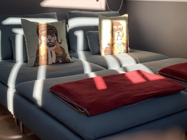 31G101413-0fbe2d26a0df4dbf9ca9bd101daba318