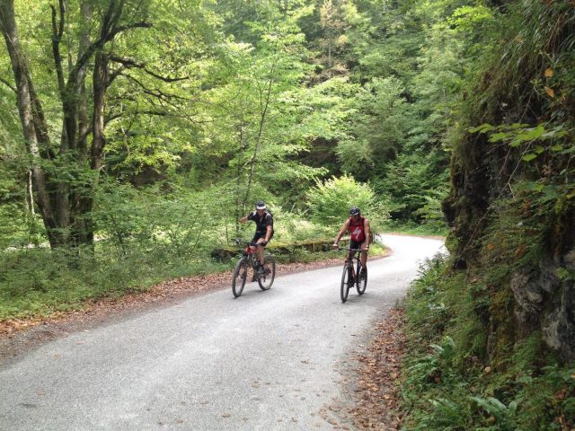 31G101413-4859dfbba41d44f58a40b86921679f36