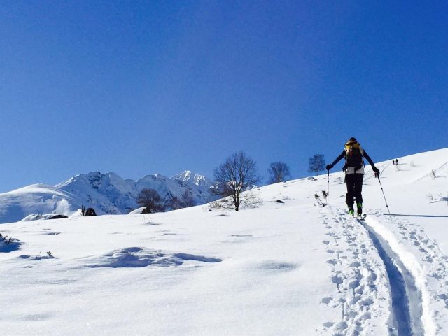 31G101413-93a2030546c94ebea7930e58c5fc9f0f