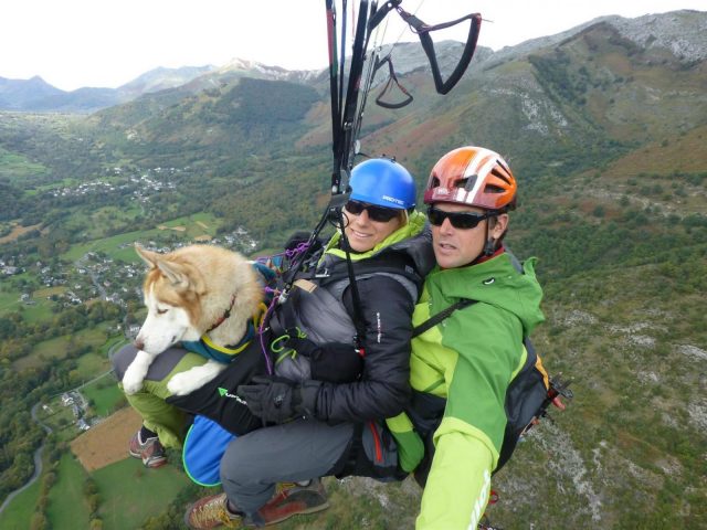 31G101413-af3de5d1fade4c859f3199b38ba20d0f